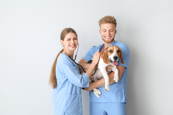 Ветеринары с симпатичной собакой на светлом фоне
 - Фото, изображение