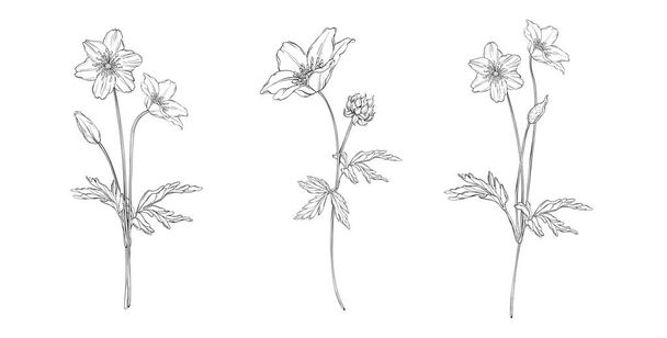 Σύνολο διάνυσμα floral μοτίβα - Διάνυσμα, εικόνα