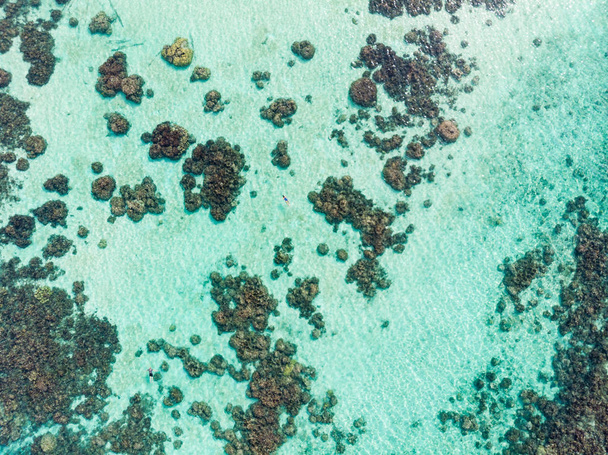 Εναέρια κορυφή προς τα κάτω οι άνθρωποι snorkeling σε κοραλλιογενή ύφαλο τροπική Καραϊβική θάλασσα, τυρκουάζ μπλε νερό. Ινδονησία Banyak Islands Σουμάτρα, τουριστικός προορισμός για καταδύσεις. - Φωτογραφία, εικόνα