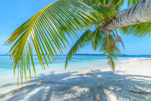 Λευκή αμμουδιά με φοίνικες καρύδας τυρκουάζ κοραλλιογενή ύφαλο, τροπικός προορισμός ταξιδιού, έρημος παραλία δεν υπάρχουν άνθρωποι - Banyak Islands, Sumatra, Indonesia - Φωτογραφία, εικόνα