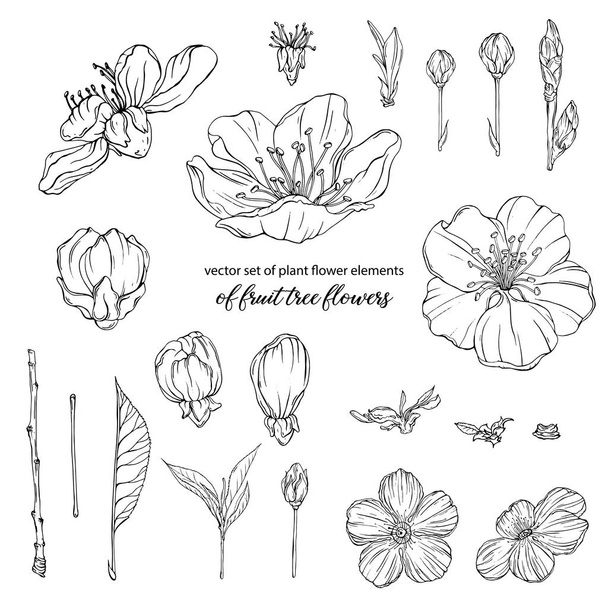 Bloemensamenstelling met lentebloemen - Vector, afbeelding