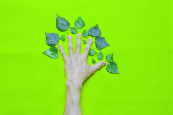 Corporate Environmental Responsibility concept: menselijke hand met bladeren in de vorm van een boom op een groene achtergrond. - Foto, afbeelding