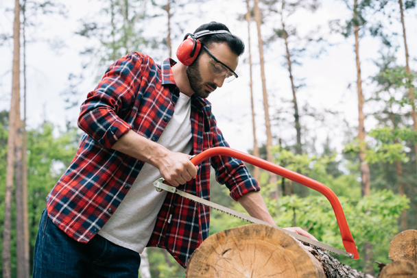 attentive lumberjack in earmuffs cutting log with bowsaw in forest - Photo, Image
