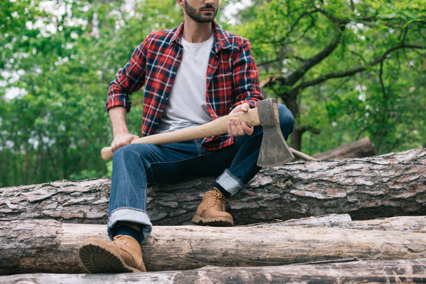 vista parcial del leñador sosteniendo hacha mientras está sentado en troncos en el bosque y sosteniendo hacha
 - Foto, Imagen