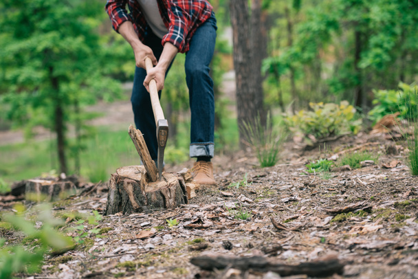 partial view of lumberer in denim jeans chopping wood with ax in forest - Foto, afbeelding