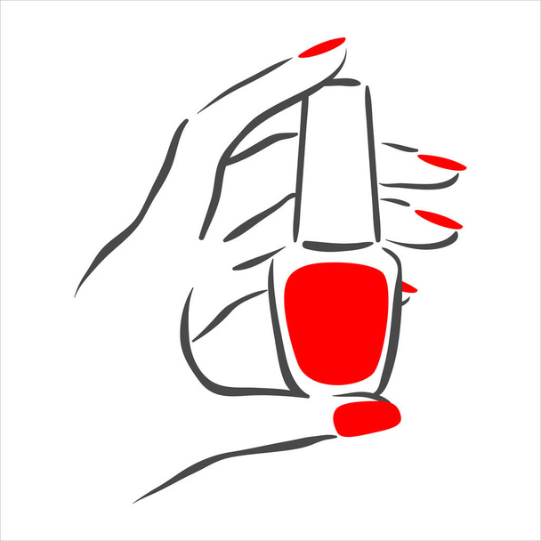 Ilustración dibujada a mano vectorial de manicura y esmalte de uñas en manos de mujer
 - Vector, Imagen