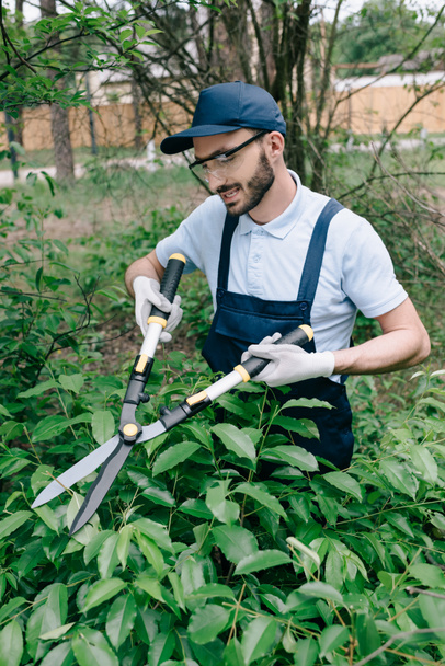 smiling gardener in protective glasses trimming bushes with pruner in park - Photo, Image