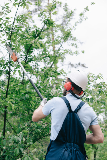 задний вид садовника в шлеме обрезки деревьев с телескопической пилой полюса
 - Фото, изображение
