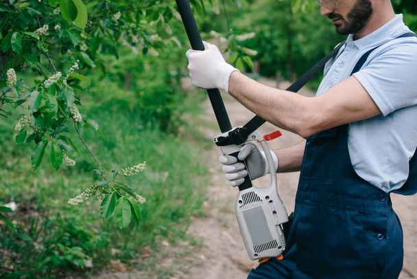 обрезанный вид садовника в комбинезоне обрезание деревьев с телескопической пилой полюса в саду
 - Фото, изображение