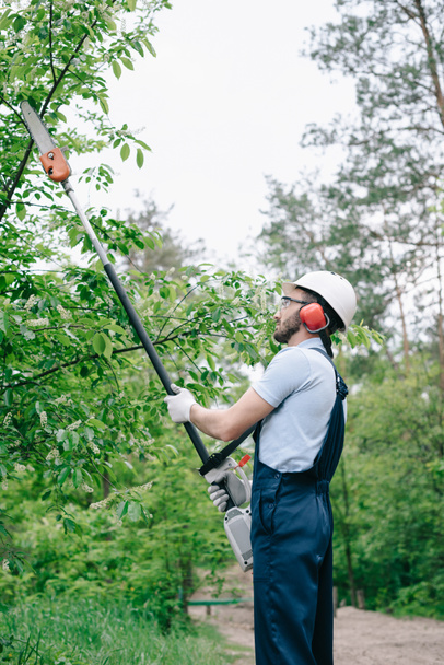 jardinier en salopette et casque coupe arbres avec scie à perche télescopique dans le jardin
 - Photo, image
