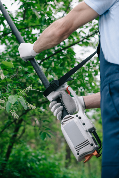 partial view of gardener in overalls trimming trees with telescopic pole saw in garden - Photo, Image