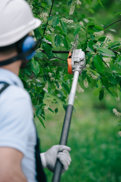 visão traseira de jardineiro aparando árvores com serra de poste telescópica no parque
 - Foto, Imagem