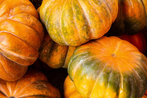 manojo calabazas mini naranja verde verduras otoño cosecha fondo
 - Foto, Imagen