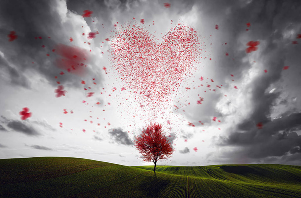 Forma de tierra hecha de hojas rojas voladoras que caen del árbol
 - Foto, Imagen