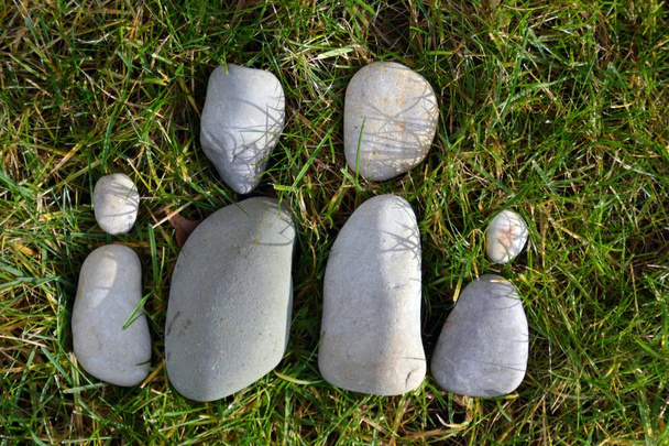 Kameny na louce jako symbol rozvodu - Fotografie, Obrázek