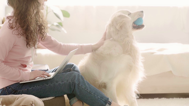 Zeitlupe einer jungen Frau, die mit Laptop in der Nähe des niedlichen reinrassigen Labradors sitzt und blauen Ball bringt, Mädchen streichelt Hund im Schlafzimmer  - Filmmaterial, Video