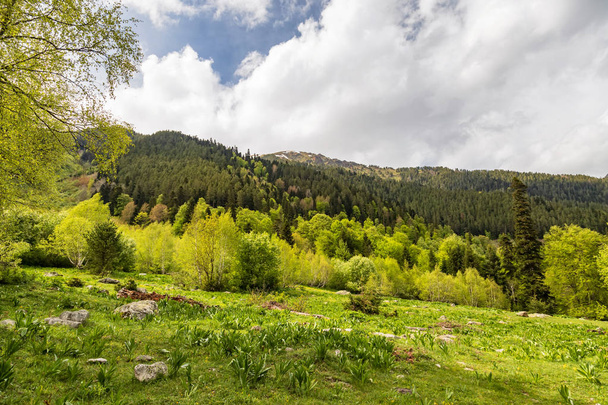 Гірський ландшафт в долині річки Аргитц - Фото, зображення
