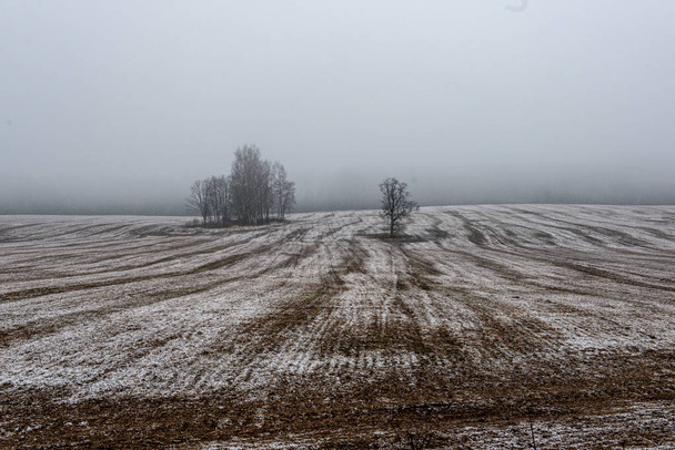 zamglone pola i łąki ze śniegiem zimą - Zdjęcie, obraz