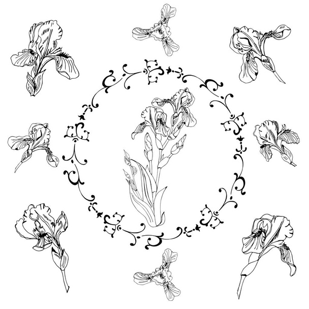 Collection with single buds and bouquet of iris flowers. Hand drawn ink sketch. Set of monochrome elements isolated on white background. - Vektor, kép