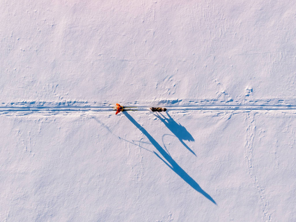 Skijor ski op de rails met hond Malamute. Concept wintervakantie. Luchtfoto bovenaanzicht - Foto, afbeelding