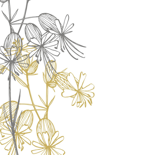 Bladder campion flowers. Set of drawing cornflowers, floral elements, hand drawn botanical illustration. Good for cosmetics, medicine, treating, aromatherapy, nursing, package design, field bouquet - Foto, Imagen