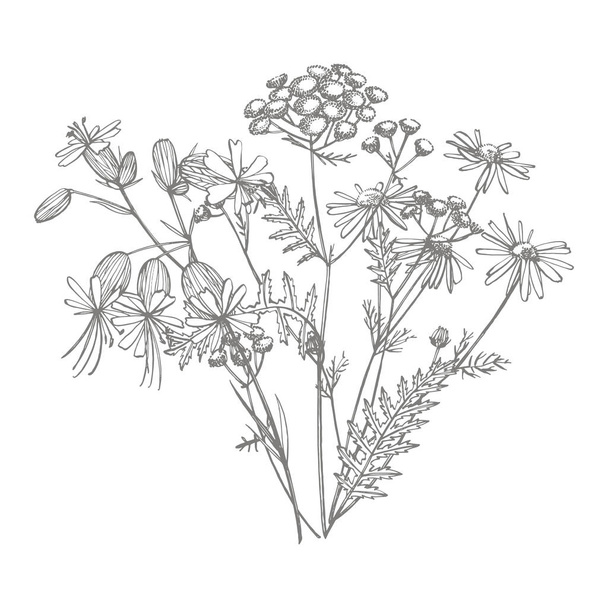 Tansy and Chamomile. Bouquet of hand drawn flowers and herbs. Botanical plant illustration. Handwritten abstract text wallpaper. - Foto, immagini