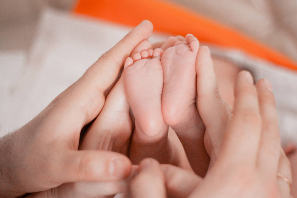 Grossesse, maternité, préparation et attente maternité, concept d'accouchement. Pieds nouveau-nés entre les mains des parents
 - Photo, image