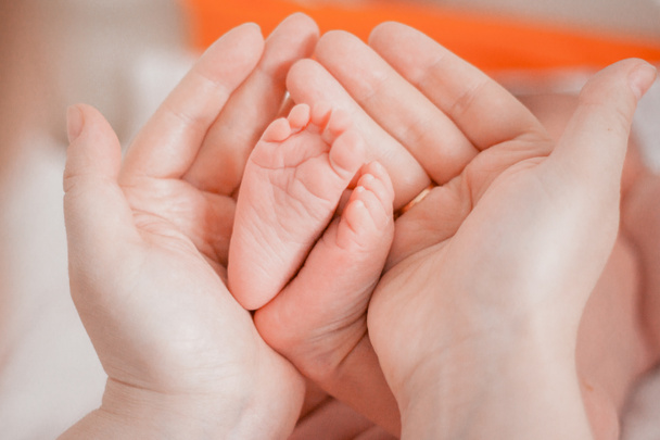 Schwangerschaft, Mutterschaft, Vorbereitung und Erwartung Mutterschaft, Geburt Konzept. neugeborene Babyfüße in den Händen von Mama - Foto, Bild
