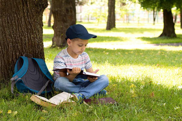 boy in the park reading a book - Zdjęcie, obraz