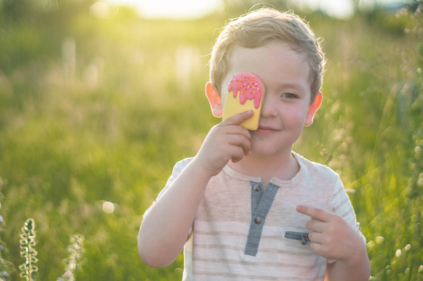 Niño feliz comiendo galletas en forma de helado. Los niños comen en el jardín. Niño en el jardín sosteniendo helado. Niño feliz comiendo helado
. - Foto, Imagen