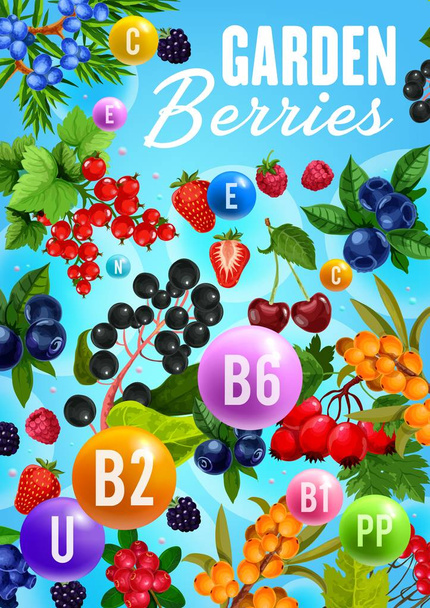 Garden berries, organic natural fruit vitamins - Vector, Image