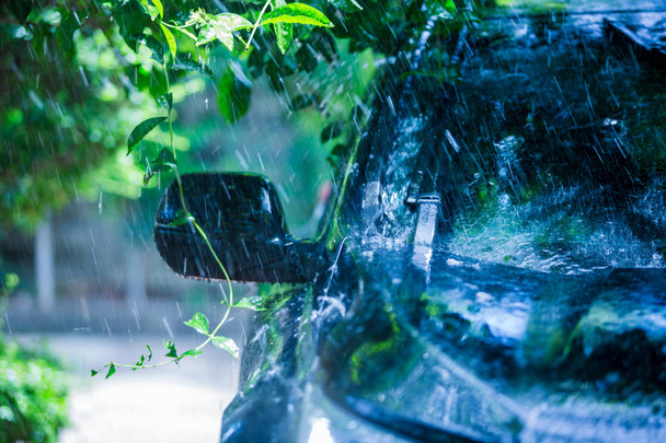 coche negro bajo el árbol con agua gota de lluvia
. - Foto, imagen
