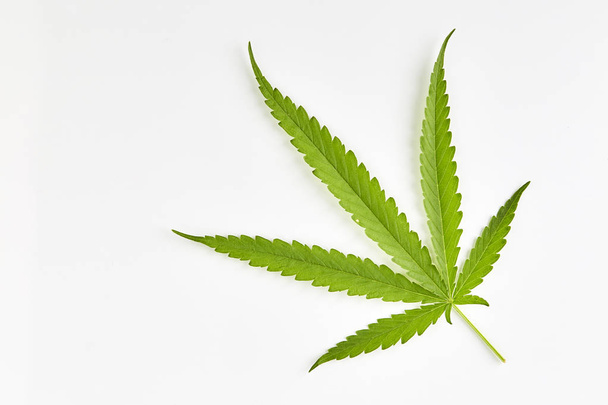 Cannabis fan leaf on white background - Фото, зображення