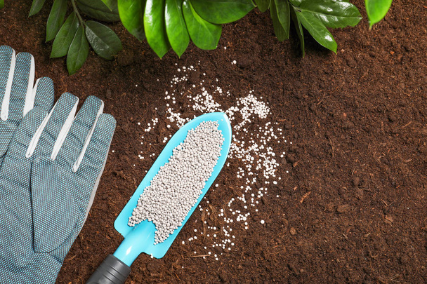 Flat lay composition with shovel of fertilizer, gloves and plant on soil, space for text. Gardening time - Photo, Image