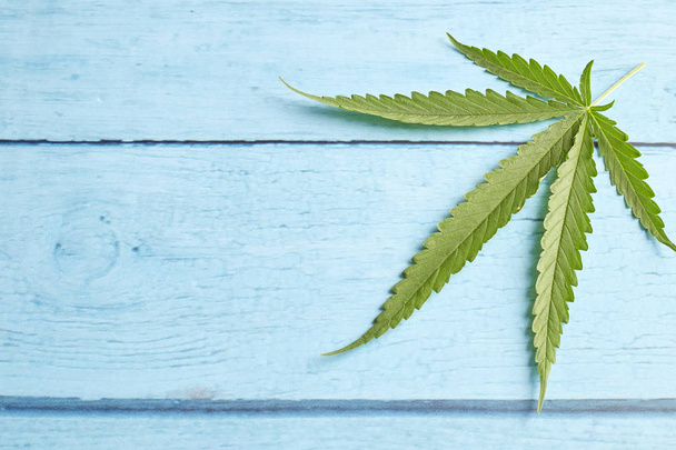 Hoja de cannabis sobre madera azul brillante
 - Foto, imagen