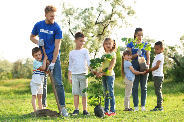 Діти саджають дерева з волонтерами в парку
 - Фото, зображення