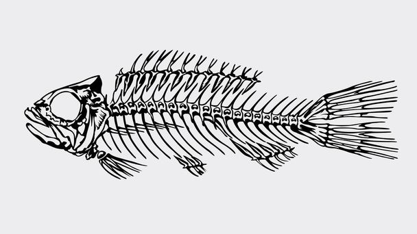 Silhouette in black color of a skeleton of a big fish on light gray background. Vector image - Vector, Image