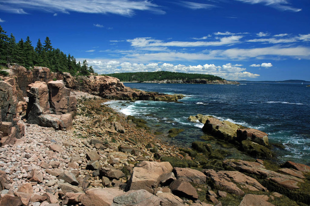 Chropowaty brzeg Parku Narodowego Acadia, Maine. - Zdjęcie, obraz
