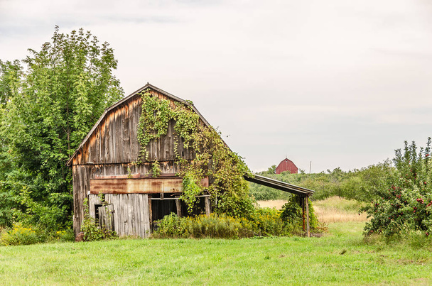 Colorful Barns in a Rural Area - Photo, Image