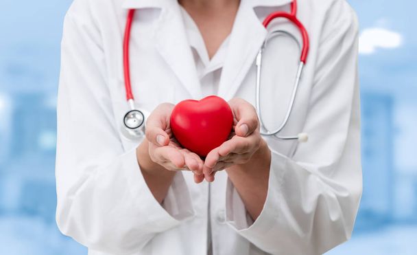 Γιατρός που κρατάει κόκκινη καρδιά στο γραφείο του νοσοκομείου.. - Φωτογραφία, εικόνα