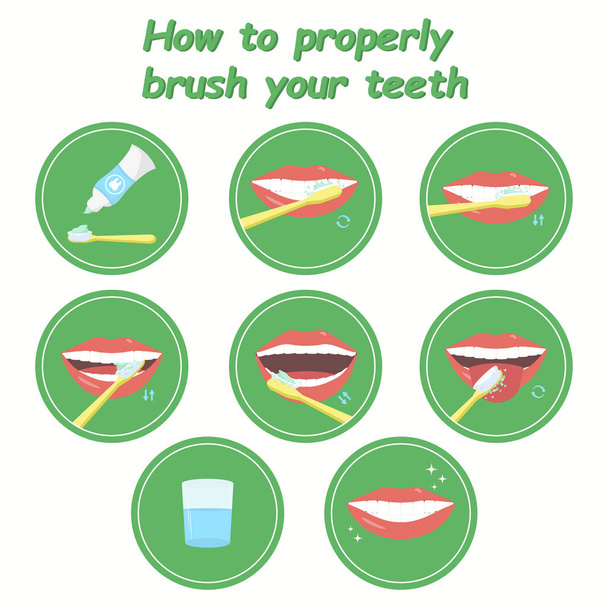 あなたの歯を段階的に磨く方法 - ベクター画像