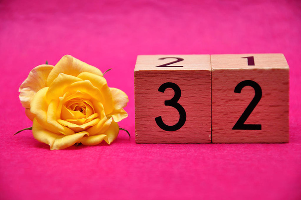 Number thirty two with a yellow rose on a pink background - Photo, Image