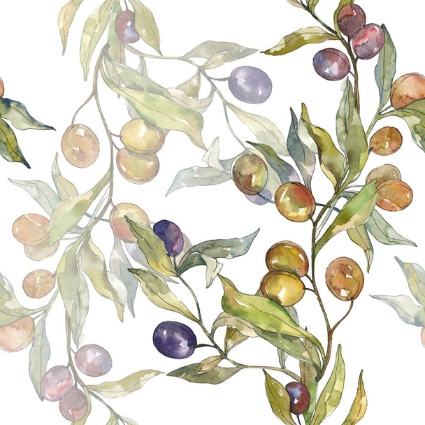 Rama de olivo con fruta negra y verde. Conjunto de ilustración de fondo acuarela. Patrón de fondo sin costuras
. - Foto, Imagen