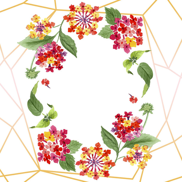 Red lantana floral botanical flowers. Watercolor background illustration set. Frame border ornament square. - Фото, изображение