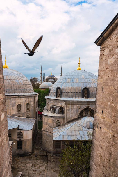 Vogel vliegen over oude moskee  - Foto, afbeelding