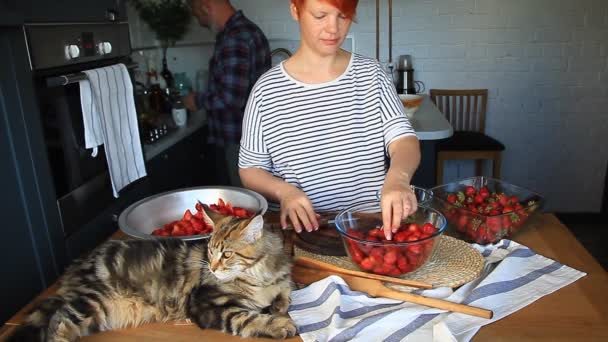 Adult couple man and woman peel and cut strawberries for strawberry jam, feed each other, laugh and have fun, the Maine Coon kitten sleeps on the kitchen table - 映像、動画