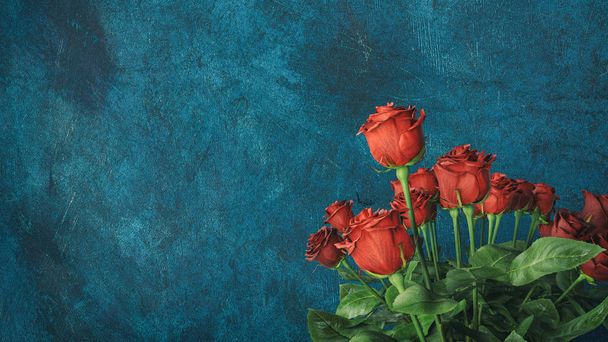Red rose background. - Photo, Image