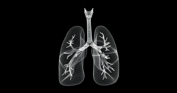 Tela de holograma de pulmões, tratado respiratório e bronquios de um corpo humano - laço
 - Filmagem, Vídeo