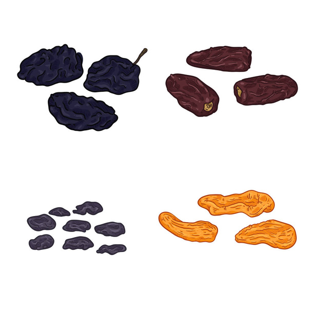 Conjunto de vectores de frutas secas de dibujos animados
. - Vector, imagen