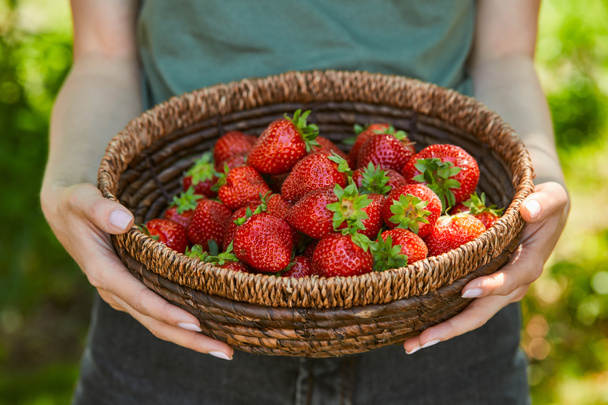 cropped view of woman holding wicker bowl with strawberries - Photo, image